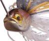 Megabass Sv-3 Spinnerbait Dw 14g Hot Tiger
