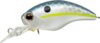 Evergreen Wildhunch Sr 5.2cm 10g #289 Queen Shad