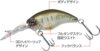 Evergreen Wildhunch 5.2cm 9.6g #361 Citrus Chart