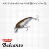 Evergreen Belcanto 6.3cm 10g #66 Flash Crown