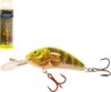 Salmo Rattlin Hornet H5 5F Chg