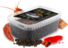 Delphin Pellet box Reaxe READY&GO - Lazac-Rák 400g