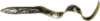 Savage Gear LB REAL EEL B 15CM 12G LAMPREY PHP 30PCS gumihal