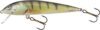 Salmo Minnow M7F Lcr