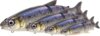 Savage Gear 3D LT WHITEFISH 27CM/217G MS FIRE WF plasztik csali