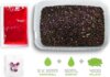 Pellet box Delphin Reaxe READY&GO (Szilva-Eperfa/400g+120ml booster+10 waft)