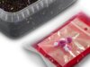 Pellet box Delphin Reaxe READY&GO (Szilva-Eperfa/400g+120ml booster+10 waft)