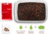 Pellet box Delphin Reaxe READY&GO (Fr. kolbász-Chili/400g+120ml booster+10mm waft)