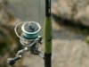 Delphin ENERGY Catfish 310cm 250-500g