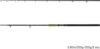 Delphin ENERGY Catfish 250cm 250-500g