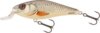 Salmo Executor Iex5Sdr Rts