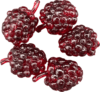 FISHUP Berry 0.6" (5pcs.), #505 - Morello