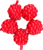 FISHUP Berry 0.6" (5pcs.), #504 - Raspberry