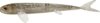 Bite On Pelagic Wizard 200 Minnow Fish / 1db