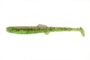 Bite On Anchovy Kivi
