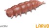 Műcsali Delphin LARVO Cheese / 15 db (3cm / GUMMY)