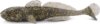 IRON CLAW Gobody SMG 9cm