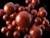 Dipelt bojli Delphin BreaX / SweetBERRY (Faeper-Eper-Szilva/20mm/200ml)