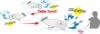 Megabass Baby Popx 50mm 5.2g Visible Shadow Ps