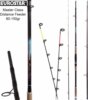 Eurostar Master Class Distance Feeder 420cm 80-150g