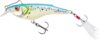 Salmo Wobbler Rail Shad Rb6S Bpr