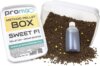Promix Method Pellet Box Sweet F1