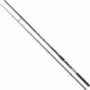 Kamasaki Big Fish 3,00m 100-200g