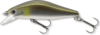 Minnow