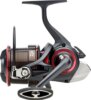 Daiwa Tournament Feeder 25 QD (7BB, 150/0.28)