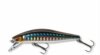 Daiwa Tournament Wise Minnow 70FS (kibinago, 7.0cm, 7.5g)