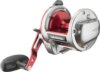 Daiwa Sealine Ishidai 40H 7BB, 360/0.30