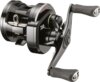 Daiwa Ryoga 1520HL (12BB, 100/0.37)