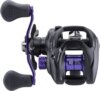 Daiwa Prorex TW SV 100L (7BB, 90/0.31)