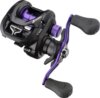 Daiwa Prorex TW SV 100L (7BB, 90/0.31)