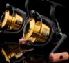 Daiwa GS LTD 3000 (4BB, 220/0.28)