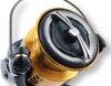 Daiwa GS BR LT 4000-C (4BB, 150/0.28)