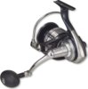 Daiwa Certate SW 8000-P 8BB, 300/0.33