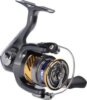 Daiwa 20 Laguna LT 1000