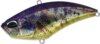 Duo Realis Apex Vibe F85