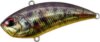 Duo Realis Vibration 62 G-Fix 6.2cm 14.5g Asa3825 Tule Perch Nd