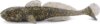 IRON CLAW Gobody SMG