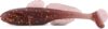 IRON CLAW Gobody AMB 11cm