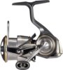 Daiwa 20 Luvias LT 4000-C (9BB, 150/0.28, 200/0.18)