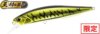 Duo Realis Jerkbait 100F