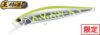 Duo Realis Jerkbait 100F