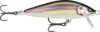 Rapala COUNTDOWN ELITE CDE55 GDWK