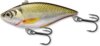 Livetarget Golden Shiner Rattlebait Gold/Black 70 mm 14 G