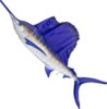 Pillow The Sailfish - New 118Cm