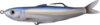 Livetarget Shiner Walking Bait Metallic Blue Shiner 115 mm 14 G