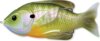 Livetarget Sunfish Walking Bait Natural/Green Bluegill 75 mm 12 G